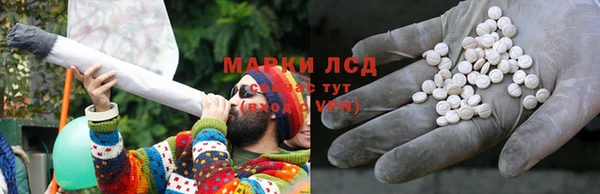 крисы Богородицк