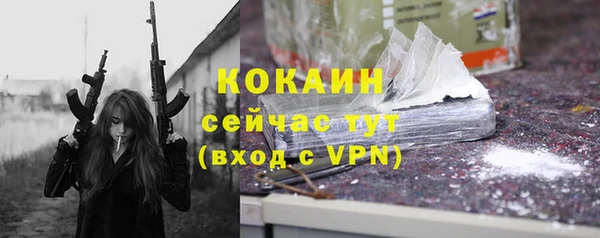 крисы Богородицк
