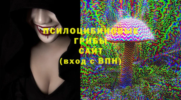 крисы Богородицк