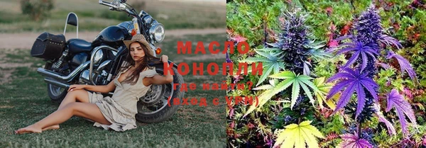 крисы Богородицк