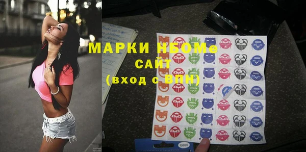 крисы Богородицк